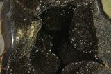 Septarian Dragon Egg Geode - Black Crystals #137952-1
